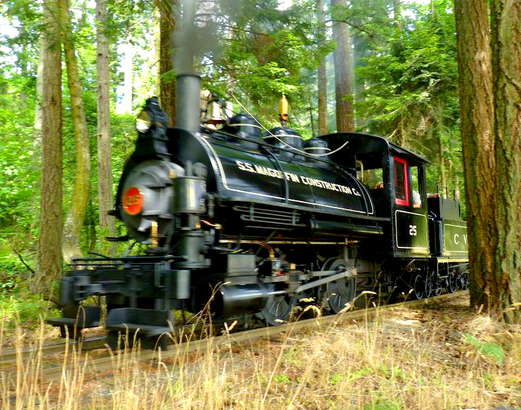 遊客最愛乘坐之 Samson 蒸氣火車，車齡高達 111 年。（Photo from BC Forest Discovery Centre)