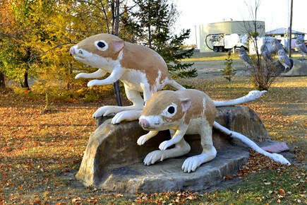 Leader 的野生動物大雕像，包括這對可愛的 Kangaroo Rat。