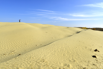 Great Sand Hills 是加國第二大和最易駛達的沙丘區。