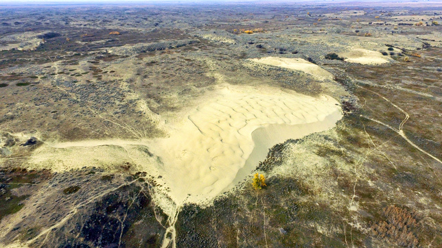 Great Sand Hills 的高堆沙丘，面積達 30 平方公里。