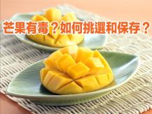 Mango 芒果有毒？如何挑選和保存？