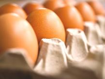 Eggs 雞蛋生熟營養有差？「最佳吃法」吸收率 99％