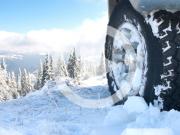 Winter Tires 關鍵「7 度 C」 冬季胎不僅下雪時才能派上用場