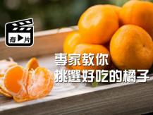Mandarin oranges 網傳不可盡信 母橘子較甜?! 專家說：那是網路謠言啦！