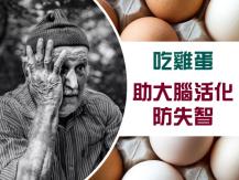 Eggs helps to fight Dementia 雞蛋一天只能吃 1 顆？落伍囉！研究指出多吃更可防老年失智症