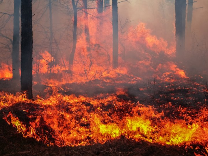 BC山火服務處在Facebook帖文說消防正在Lillooet以北15公里撲救失控的山火