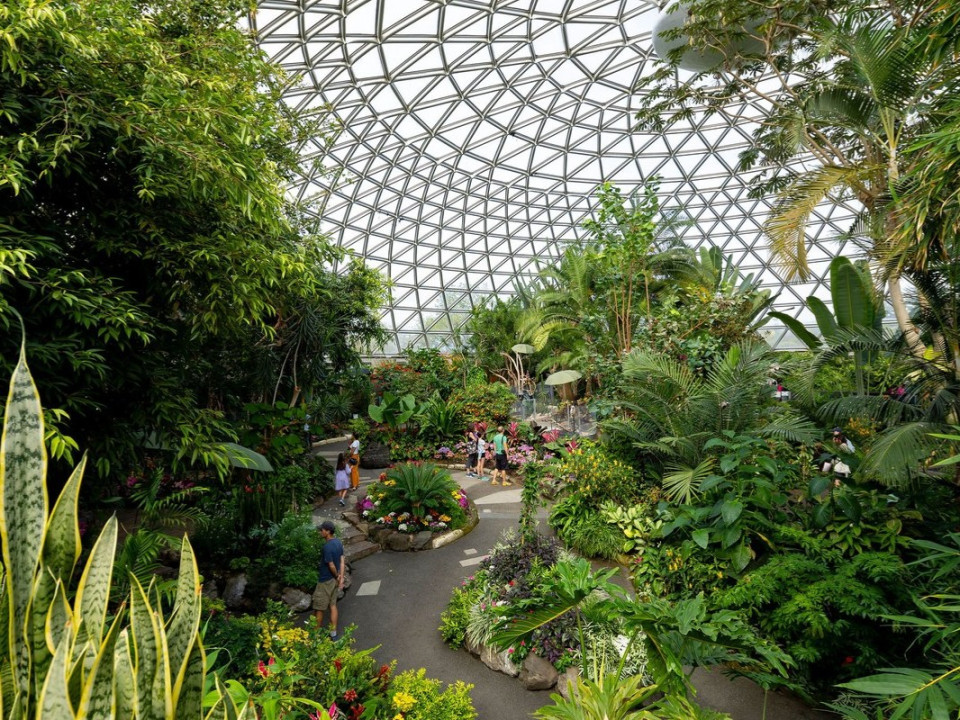 溫市女皇公園溫室植物園下星期六重開