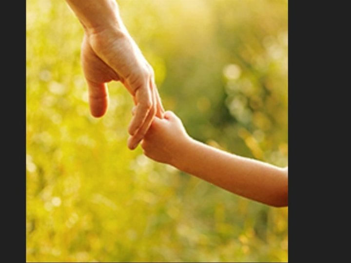 BC器官移植中心說去年是器官捐贈數量創紀錄的1年