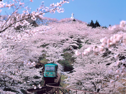 Japan - Journey Beyond 日本 - 突破尋常之旅：那些跳出框框的縣城景點