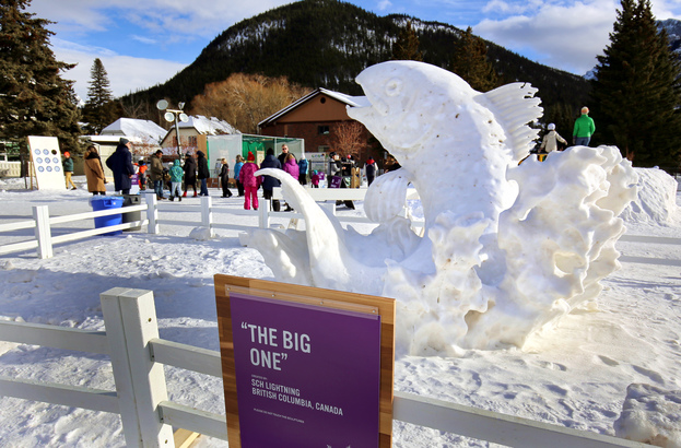 叫這個雪雕做《魚躍龍門》更應節。