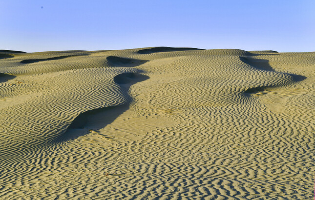 沙省 Great Sand Hills 沙丘的波紋，隨風向及日照變幻。