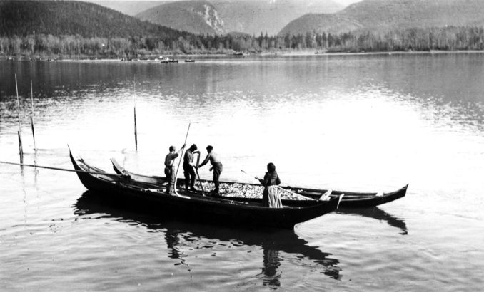 初春回游的蠟燭魚曾是原住民越冬後的主要新鮮食糧。(Photo from Northern BC Archives)