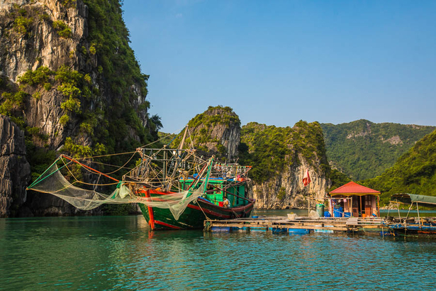 越南是世界第 4 大海鮮產地。