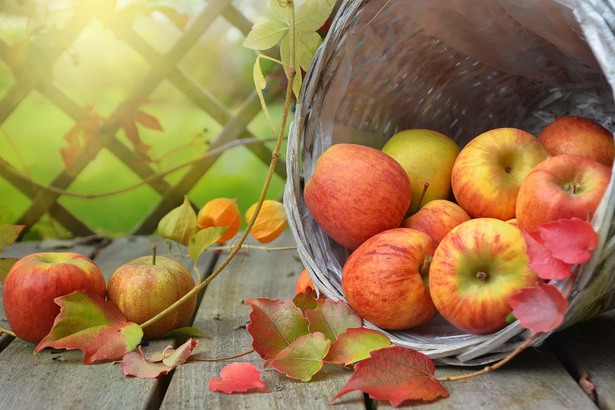 一顆蘋果約 60 大卡，富含水溶性膳食纖維，可幫助腸臟蠕動及排毒。(Photo by Pixabay)