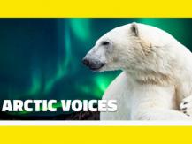 Science World「北極之聲」展覽 現在還有「買一送一」優惠！