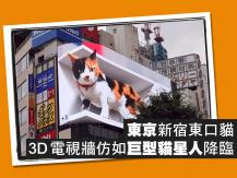 3D cat 東京街頭驚現巨型三色貓！