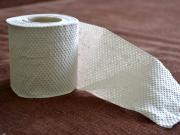 Toilet paper 從台灣衛生紙貴說起 古代人都用甚麼擦屁股？