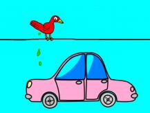 Bird poop 這 3 種顏色的車最招鳥糞