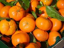 Mandarin orange 護肝減糖尿 吃柑好處多
