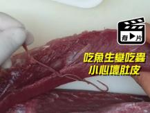 Sashimi 魚生師傅從油甘魚抽出多條長達 30cm 活寄生蟲 肉眼難以分辨 