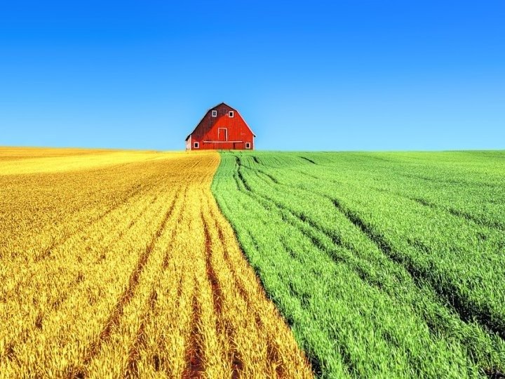 本國化學肥料巨頭Nutrien預計未來1年鉀肥需求將顯著增加