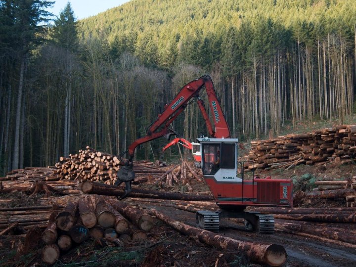 BC省府指美國繼續徵收軟木材關稅有損兩國人民利益