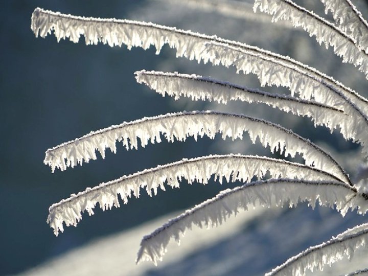 環境部向大溫發特別天氣聲明 BC省南岸將迎來短暫寒流