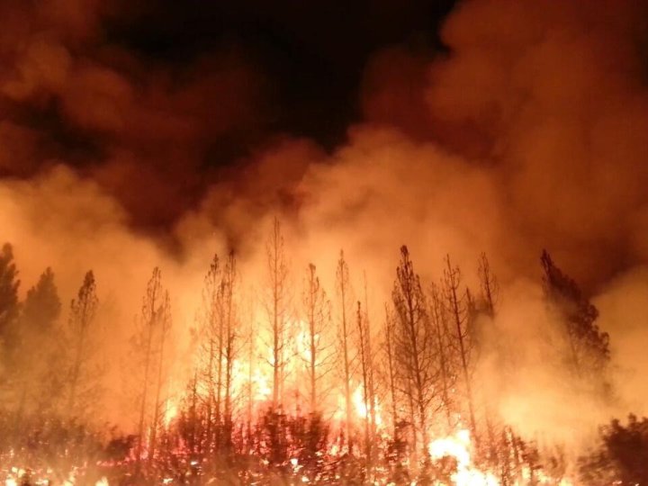 育空地區山火管理人員指出預料今個山火季節會稍為溫和