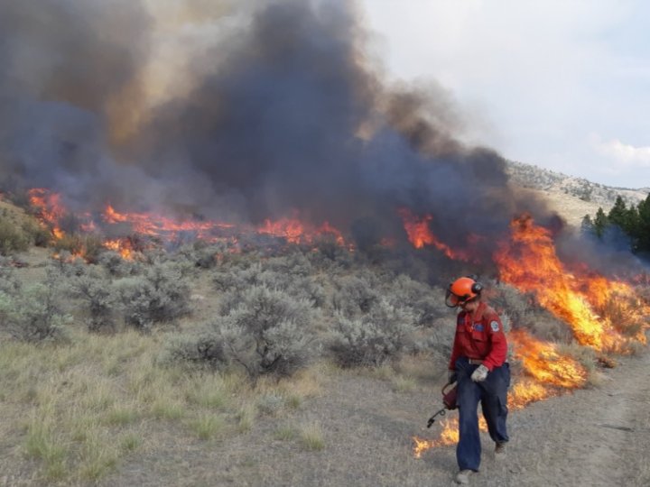 全省仍有250宗山火焚燒 當局料數目將增加