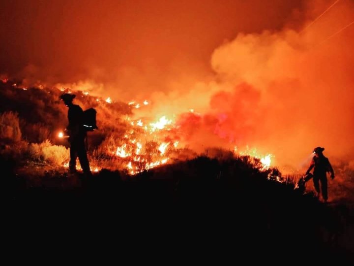 BC山火服務處說全省各地現時仍然有超過300場活躍山火
