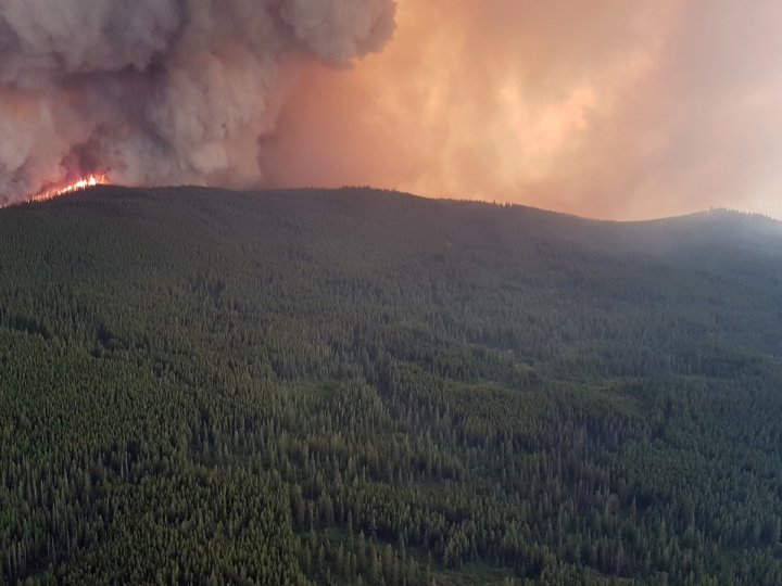 BC省至今有337宗活躍山火 Williams Lake進入緊急狀態