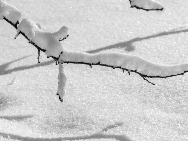 特別天氣聲明生效 大溫地區料本周末有雪